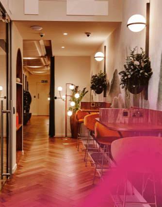 Zip Mayfair