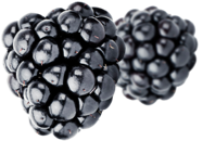 berries