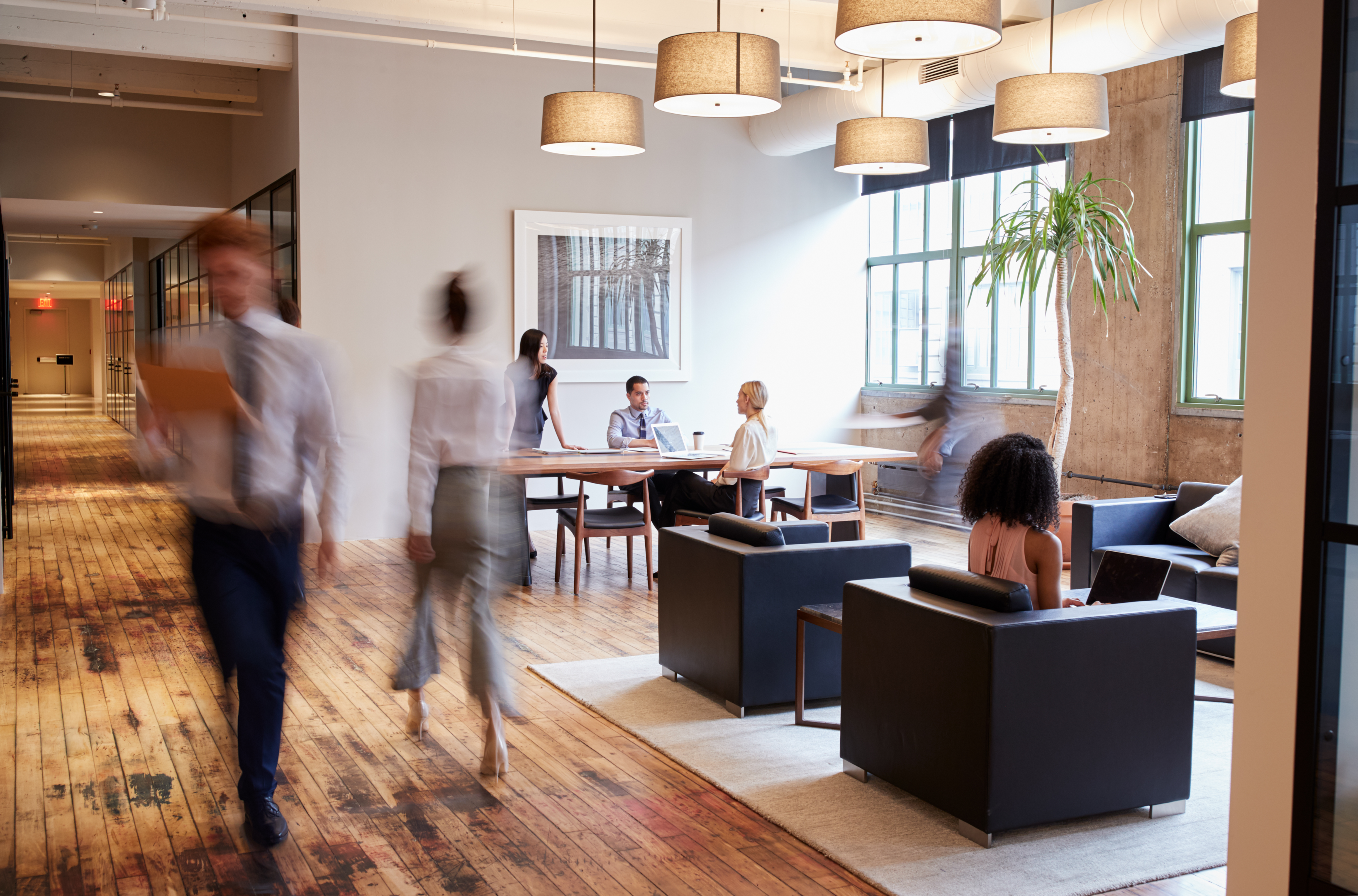Natural light incorporated in workspace design featuring colleagues