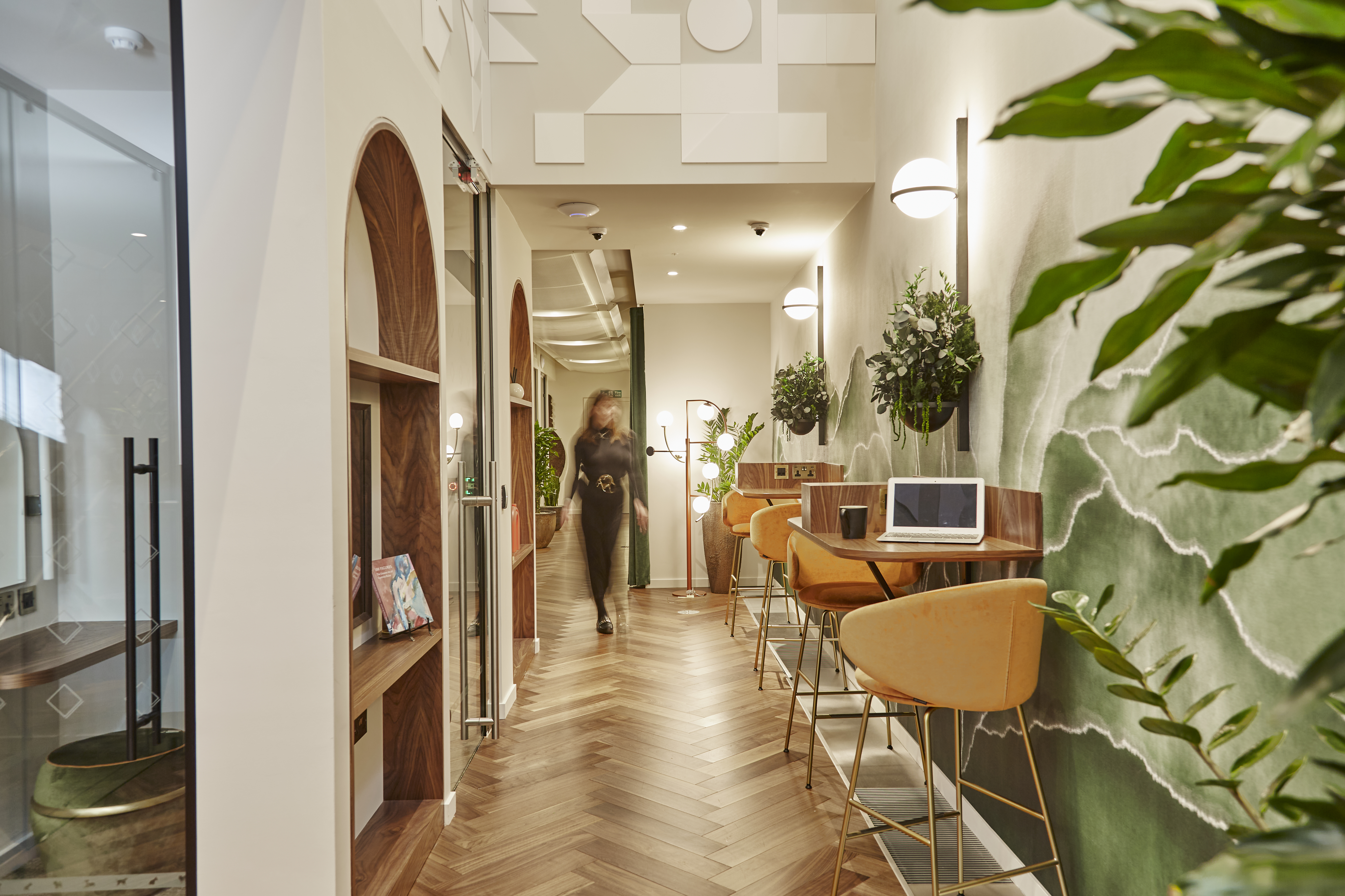A light and spacious office with green plants