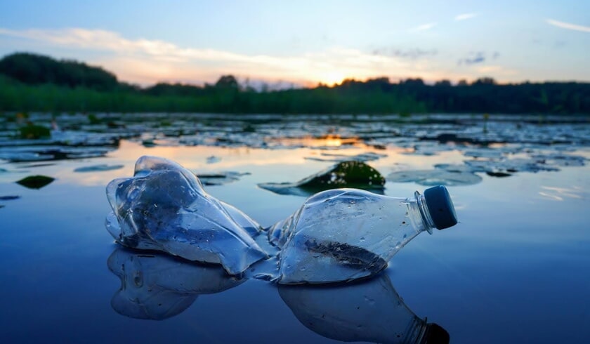 8 plastic waste facts you need to know, and how you can help reduce plastic pollution