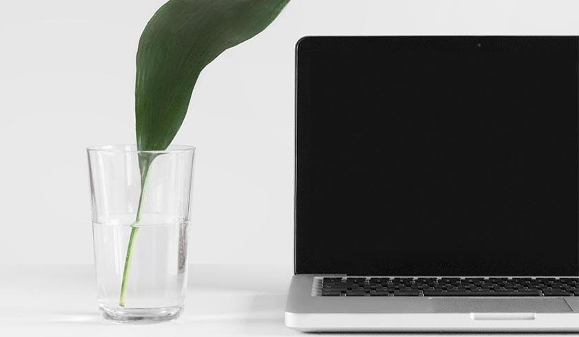 Setting the standard