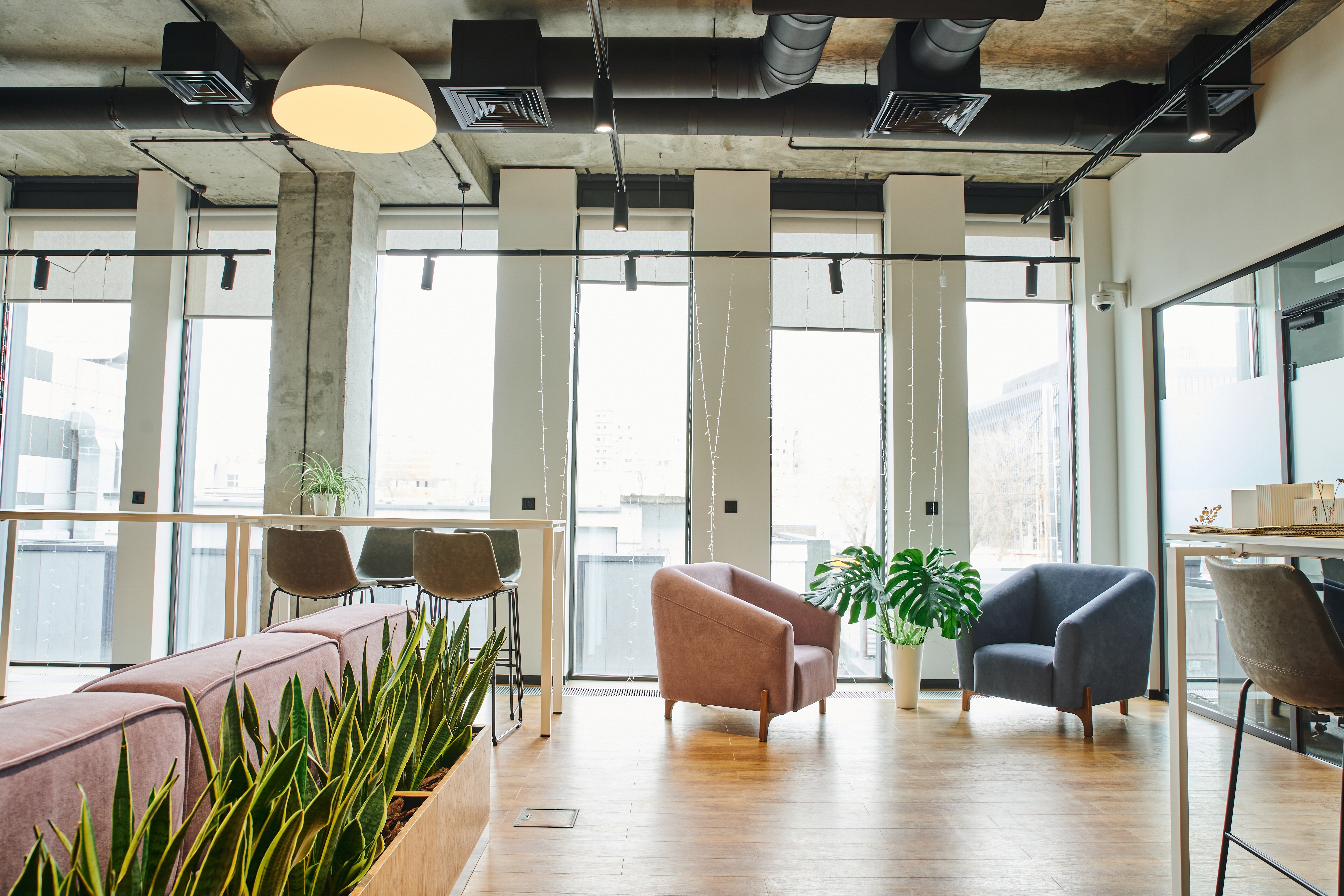 An open space office with large windows, plants and a comfortable seating area.